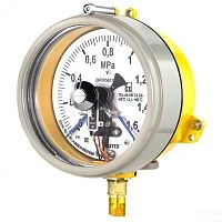 ДМ2005ф Сг1Ехd КС 160 кПа кл.1,5 исп V УТ000020022