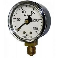 ДМ2029 60 кгс/см2 кл.2,5 М12х1,5 УТ000005372
