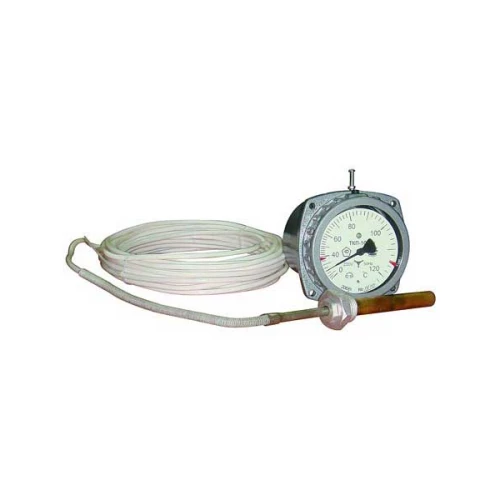 ТГП-100Эк-(0...+300)°С-2,5-6-250-А УТ000008781